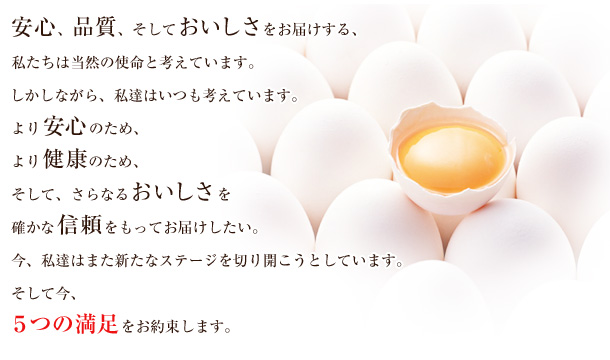 安心、品質、そしておいしさをお届けする、私たちは当然の使命と考えています。しかしながら、私達はいつも考えています。より安心のため、より健康のため、そして、さらなるおいしさを確かな信頼をもってお届けしたい。今、私達はまた新たなステージを切り開こうとしています。そして今、5つの満足をお約束します。